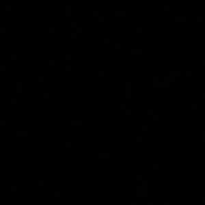 Meet your Posher, Alessandra